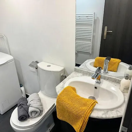 Appartement Avec Mezzanine - 436 *
